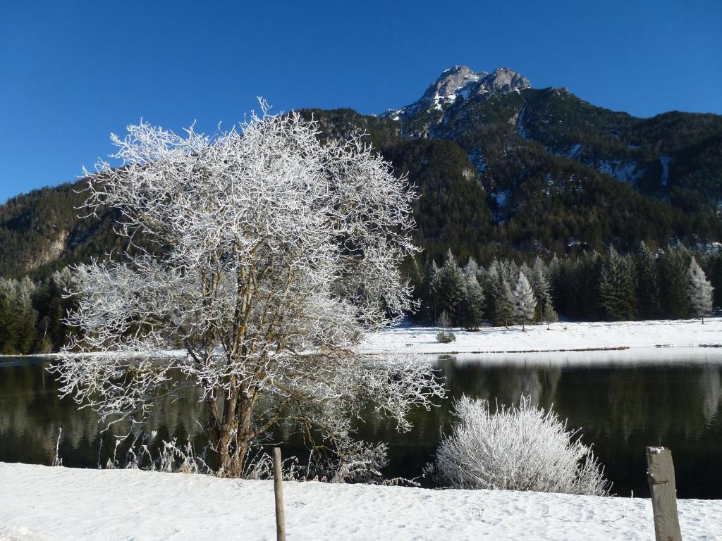 Gaestehaus Rosi Guest house Fieberbrunn
